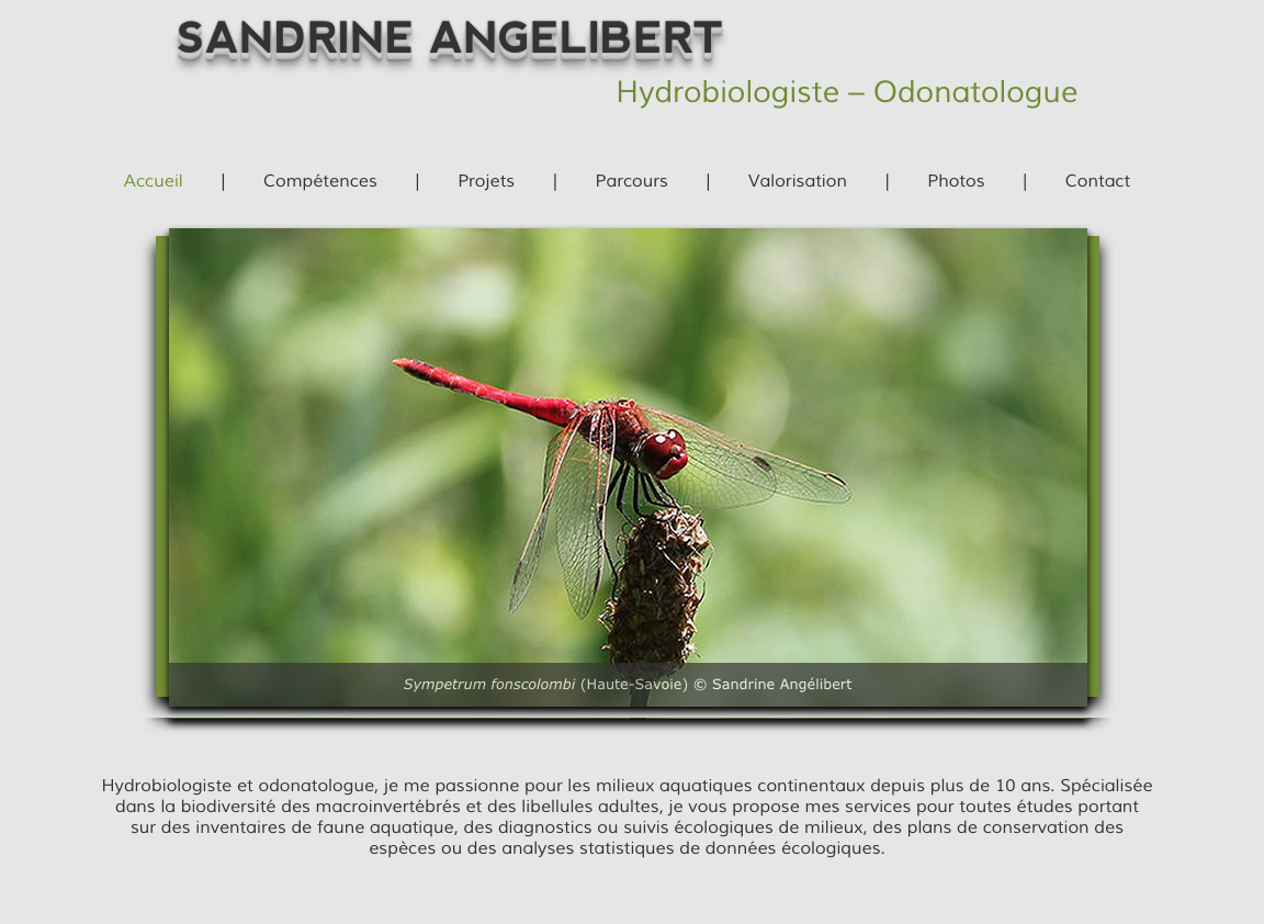 Site internet de Sandrine Angélibert